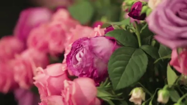 Cartes Postales de Fashion Week: Défilés printemps-été 2014 à Milan, épisode 5