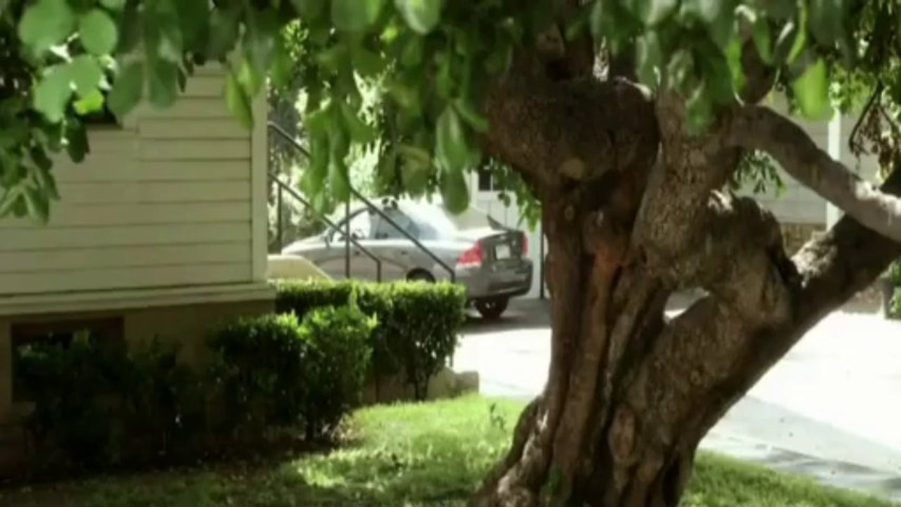 Задръж ме тук, близо до теб - Пасхалис Терзис (Превод)