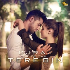 Tere Bin - DJ Raj ft Pritam 2013 (Full  Official Audio Song)