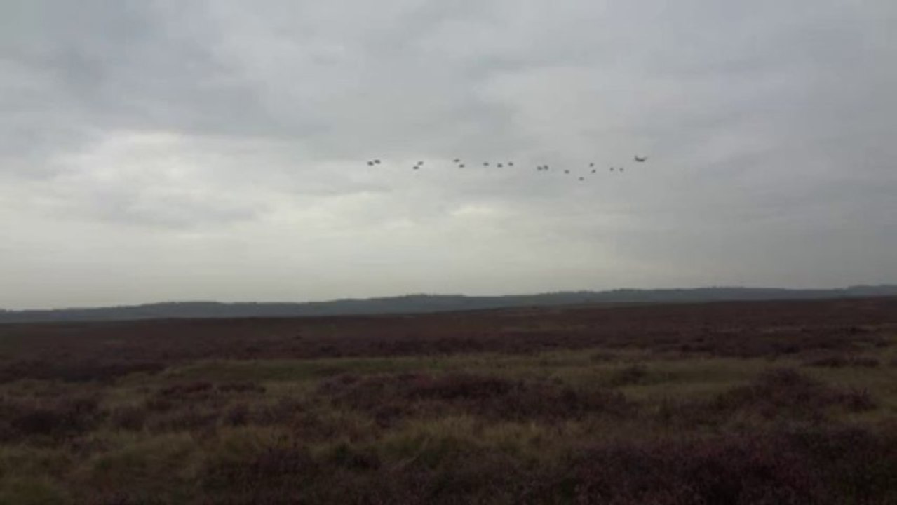Airborne Ginkelse Heide