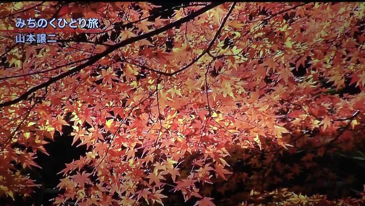 【夢　演歌】　　酒　恋　旅　夢