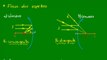05 - Espelhos esféricos de Gauss - propriedades dos raios de luz - parte 2
