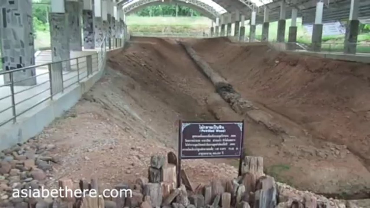 ไม้กลายเป็นหินในวนอุทยานไม้กลายเป็นหินบ้านตาก