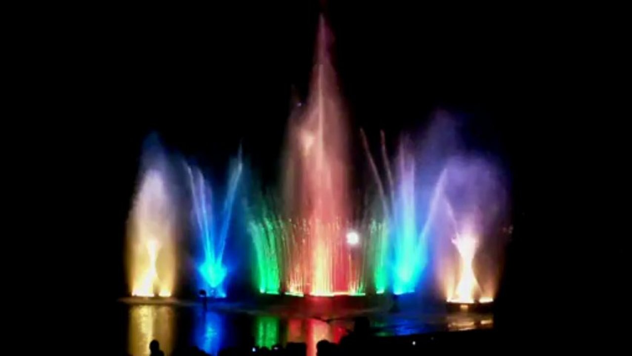 Wasserspiele der Feuerwehr Harsewinkel - 50 Jahre Stadtpark Harsewinkel 2013 (4)