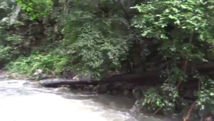Palau Waterfall, Kaeng Krachan National Park
