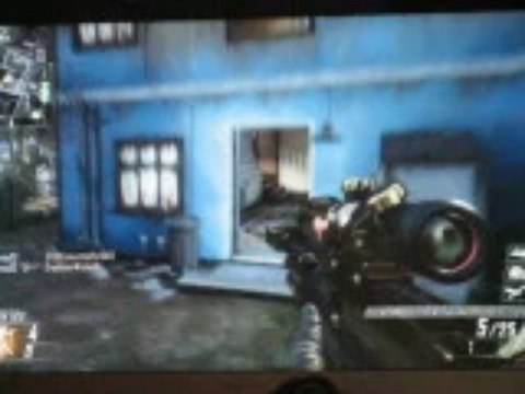 ma premiere vidéo BO2 mes armes en or