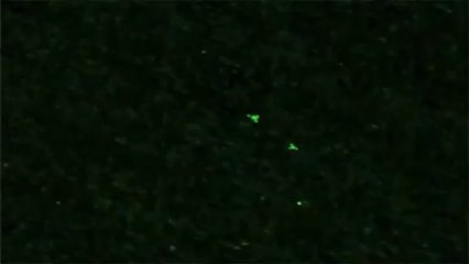 UFOs .vision de nuit. Wittenberge.Allemagne.18.09.2013