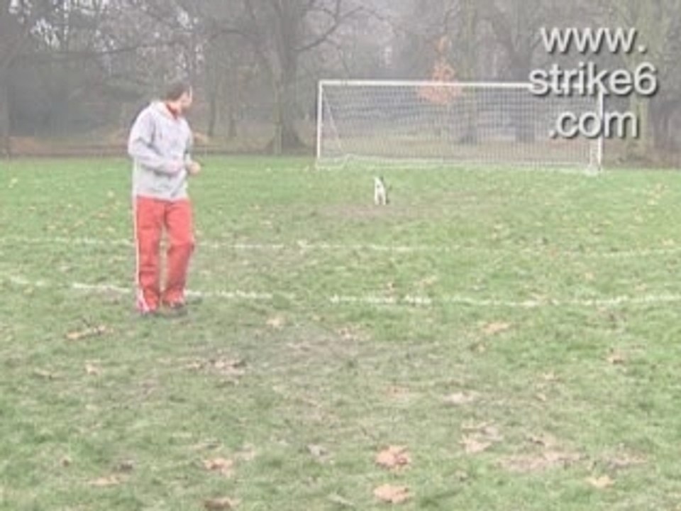 Shooter le chien