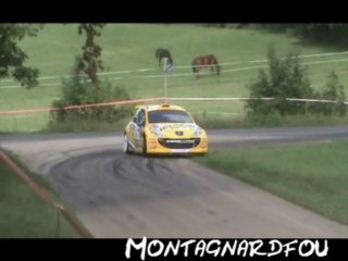 Rallye du Suran 2013