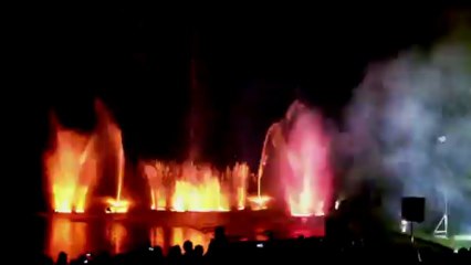 Wasserspiele der Feuerwehr Harsewinkel - 50 Jahre Stadtpark Harsewinkel 2013 (8)