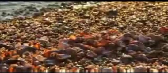 GİDİYORUM AMA ETMİYORUM EYVALLAH.. SEVDA KARABABA