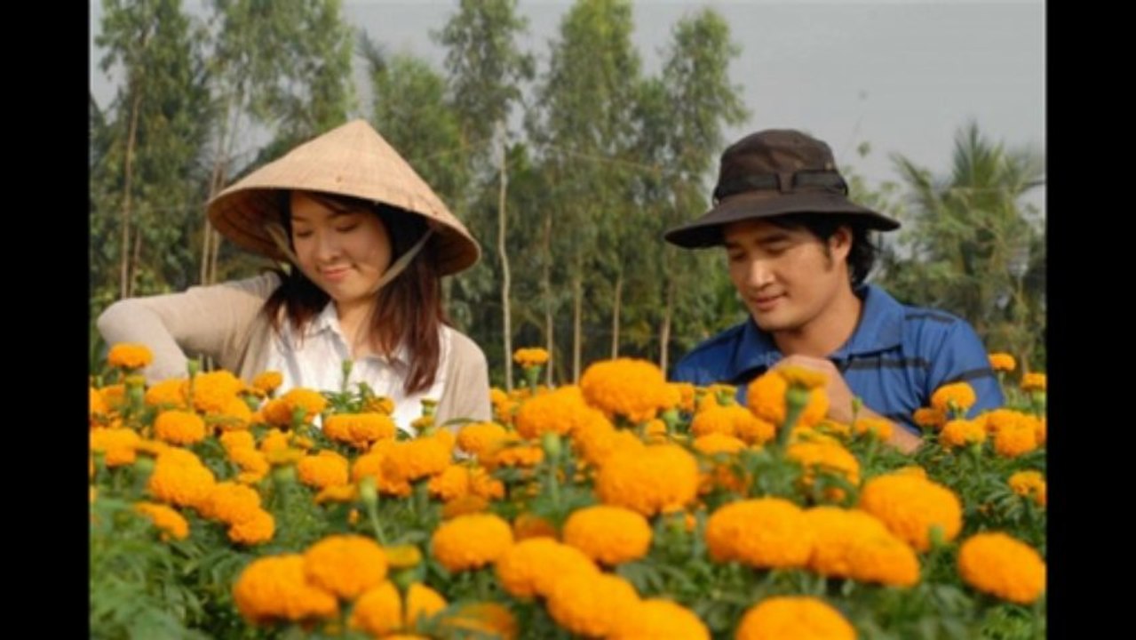 HTV phim Hoa Vang Noi Ay 2009