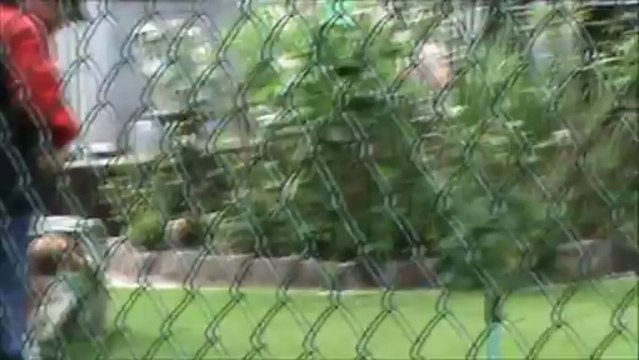 Concours Kathe à Tournaisis Débutant