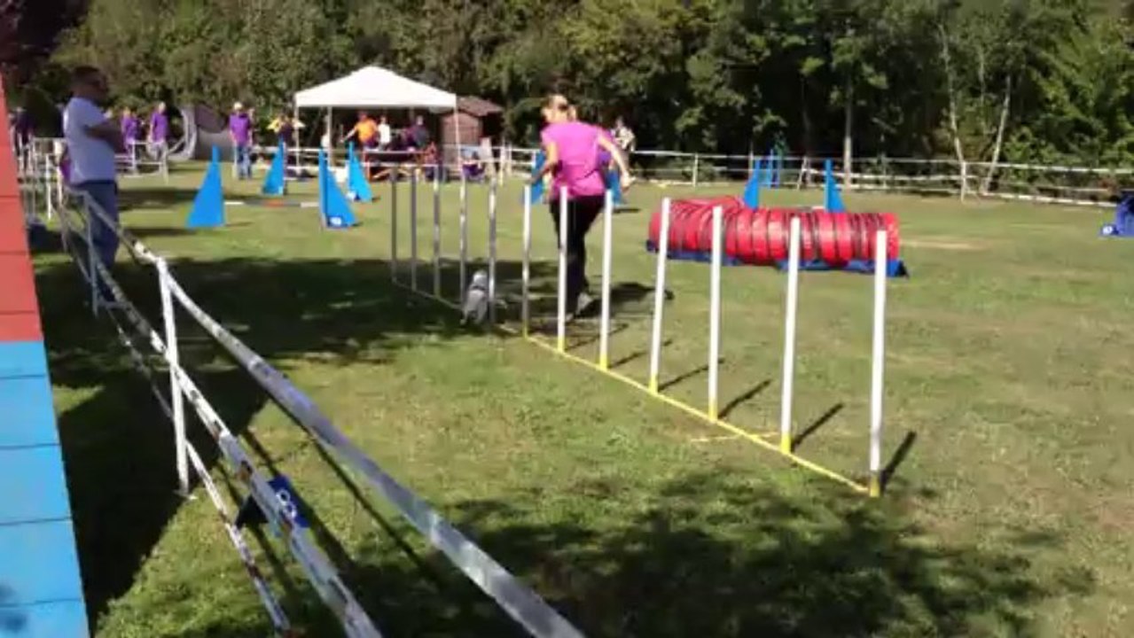 Jumping Stella Cossonnay 2013