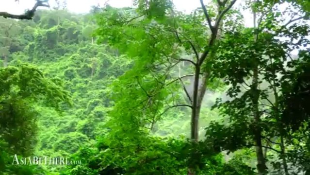 Deep, Steep Forest, Palau Waterfall, Kaeng Krachan National Park