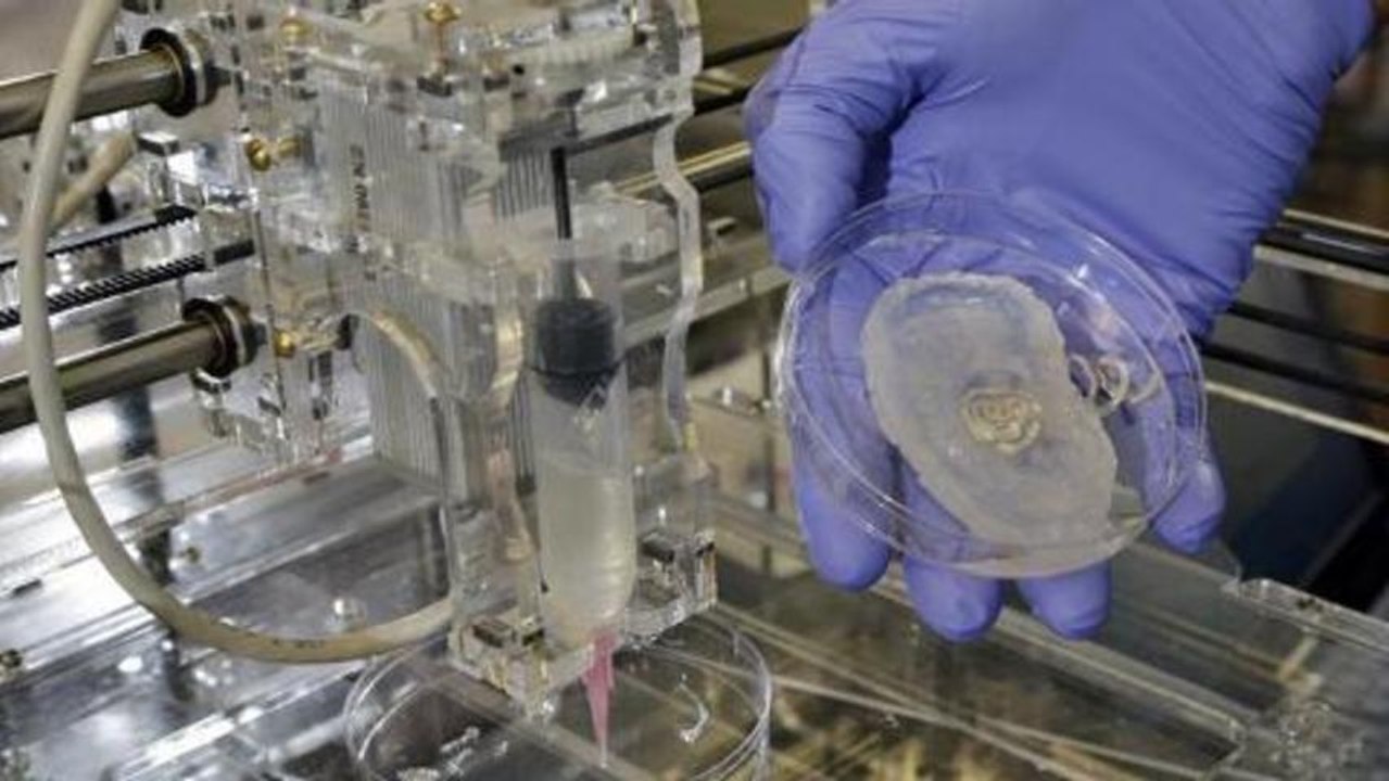 Counting the Cost - Printing hope for the future