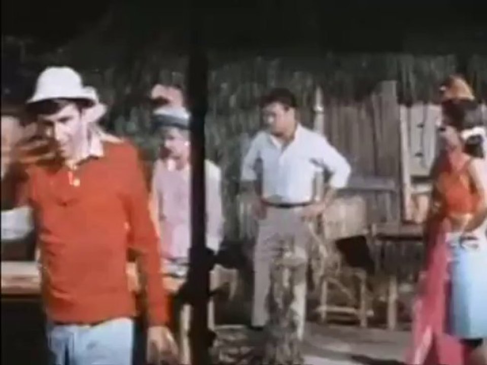 Gilligan`s Island: Home Video