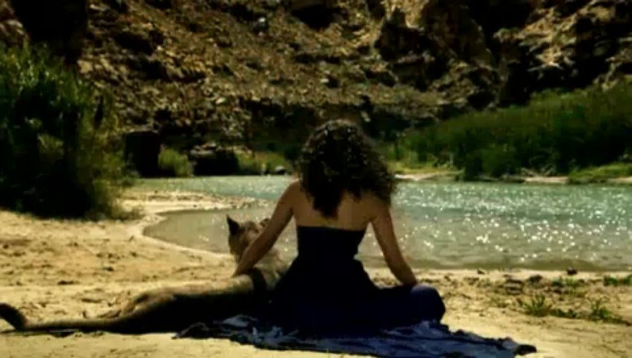 video 5