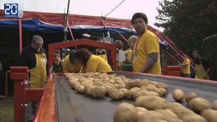 La frite bat des records à Hazebrouck
