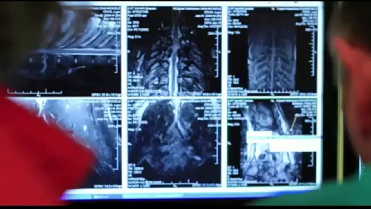 La storia di Navarre il lupo