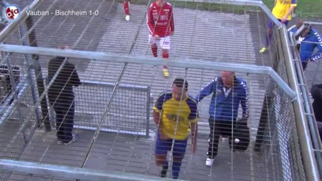 J6 DH 2013-2014 : Pierrots Vauban - Soleil Bischheim