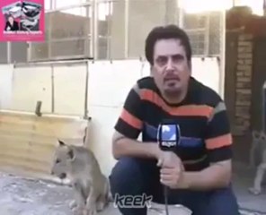 reporter Chocked haha very funny‬