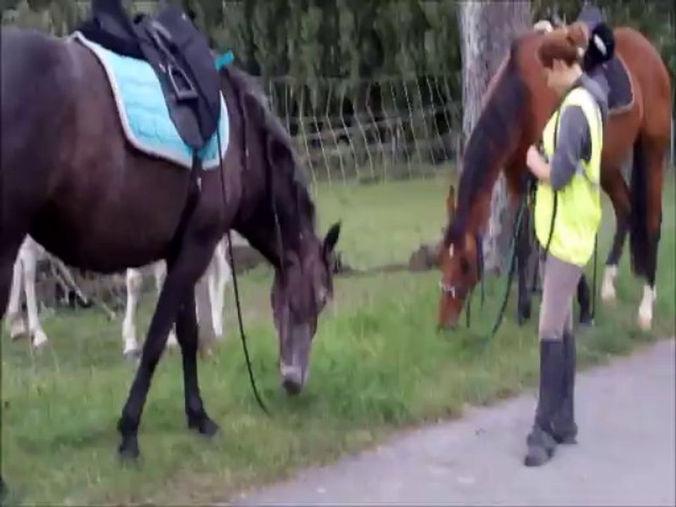 promenade 22.09.2013