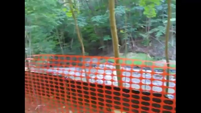 partial video panning of the beltline trail headed downtown through scenic forests and wetlands on a dirt path bicycle trail