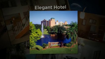 Beautiful Living area Apartment Kissimmee FL-Rental FL