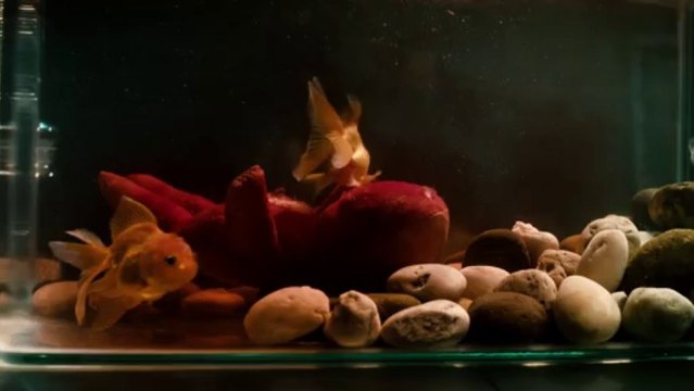 บอก-เล่า-9-ศพ