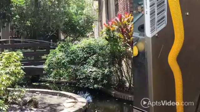 Park Place Apartments in Tampa, FL - ForRent.com