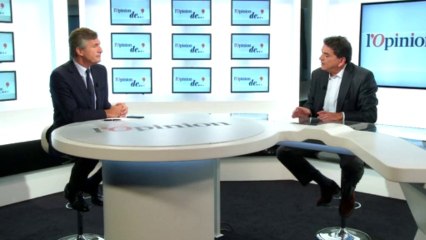 L’Opinion de Pierre Lellouche