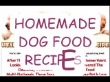 Home Made Dog Food Recipes!