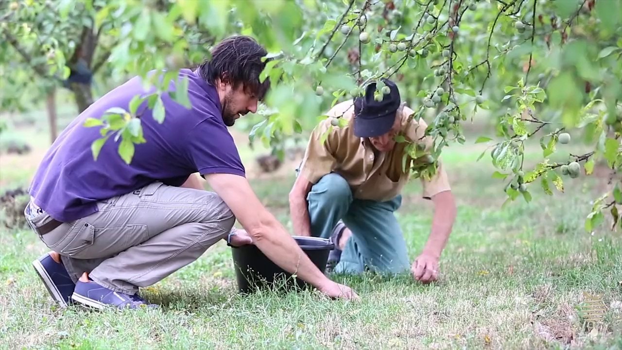 Distillerie Artisanale Cazottes