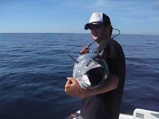 Un écolo à la pêche au thon