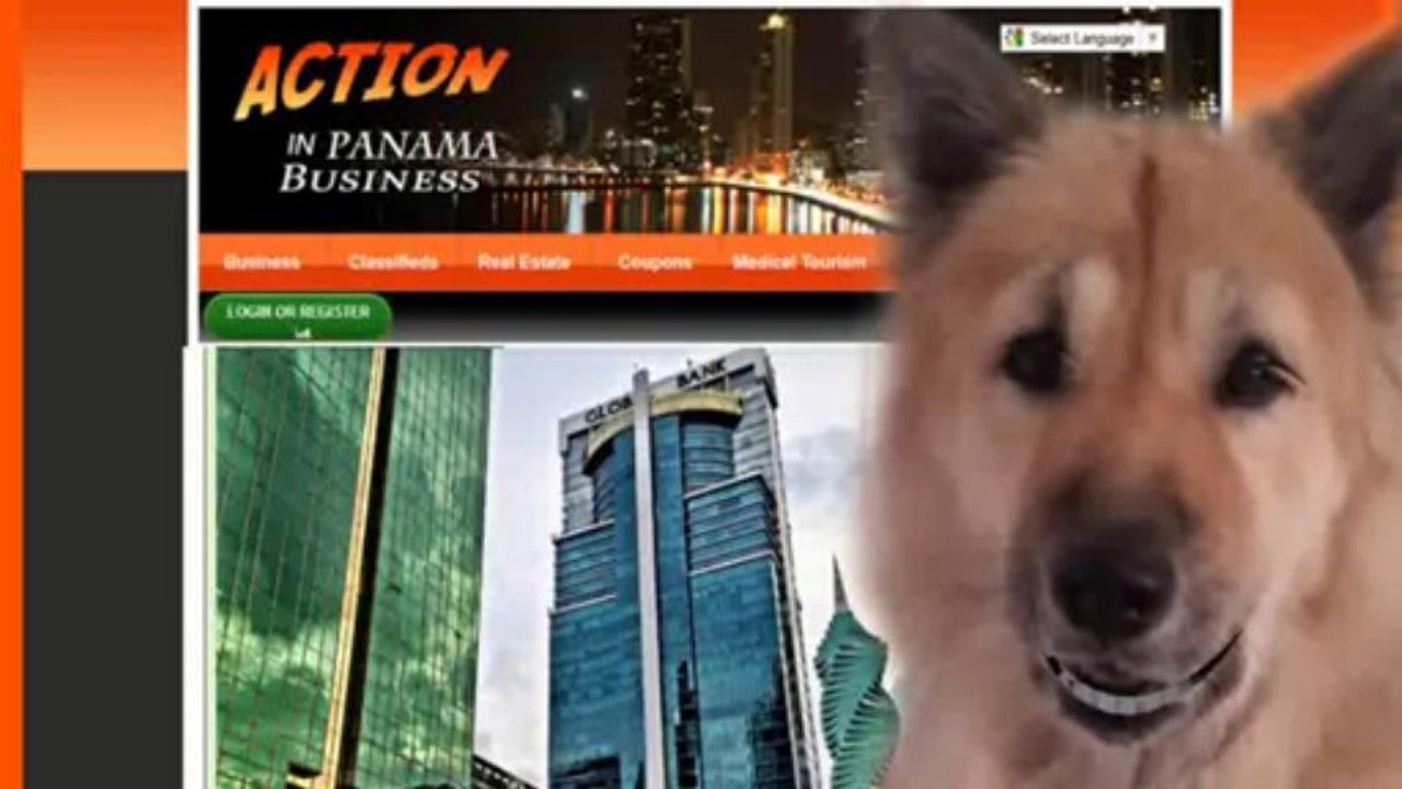 Business Networking  en panama Business Networking