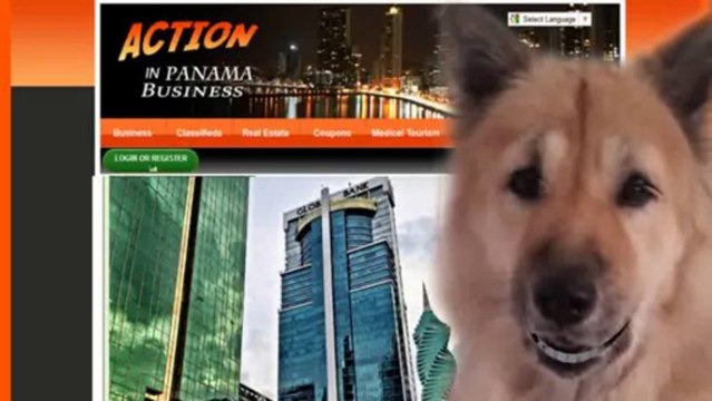 Business Networking en panama Business Networking