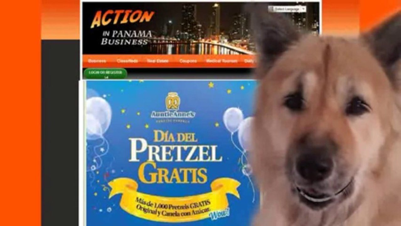 Web Banner Advertising in Panama Web Banner Advertising