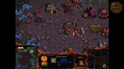 Starcraft Walkthrough FR Campagne Zerg - Mission 8 - Oeil pour oeil