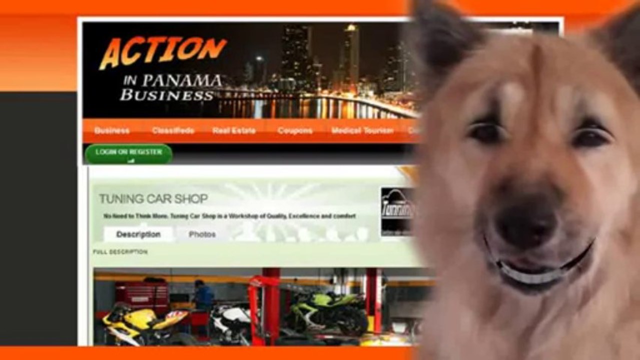 Business Networking  en PTY Business Networking