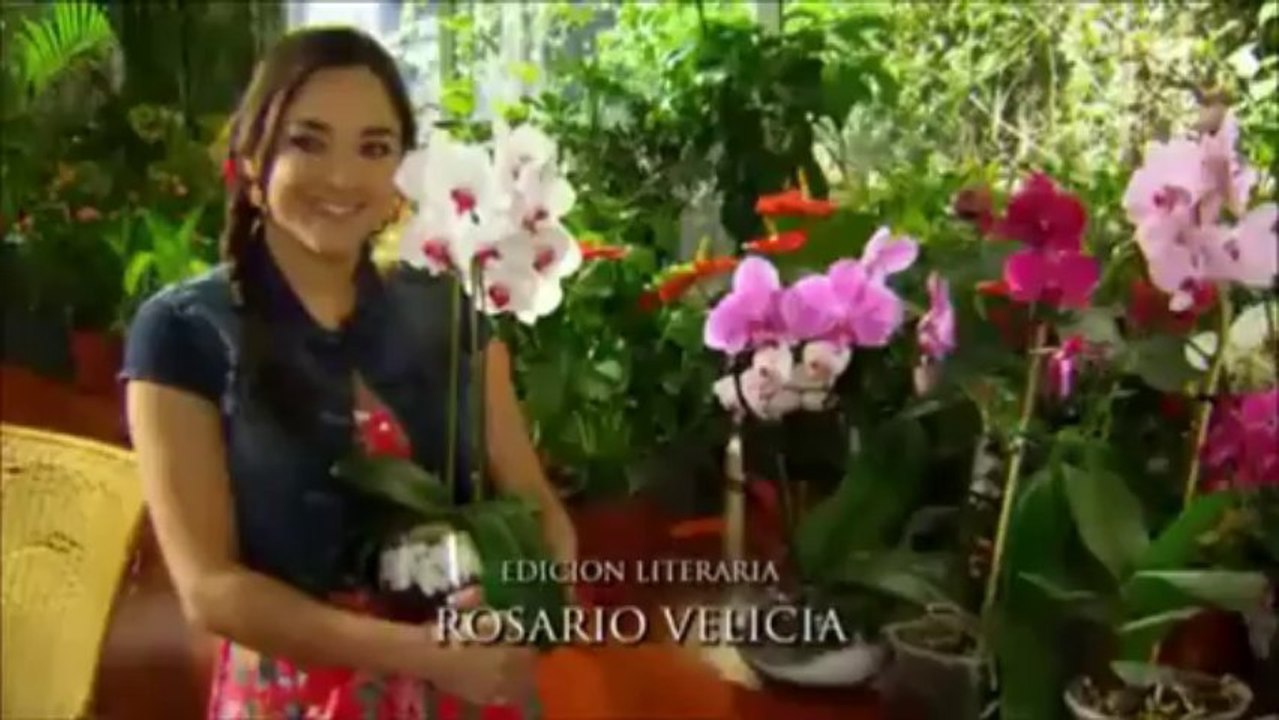 Victoria y Arriaga parte 51