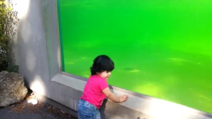 Jannah in Welsh mountain zoo