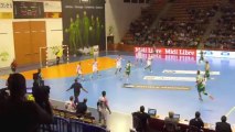 LNH - USAM Nîmes - Cesson Rennes