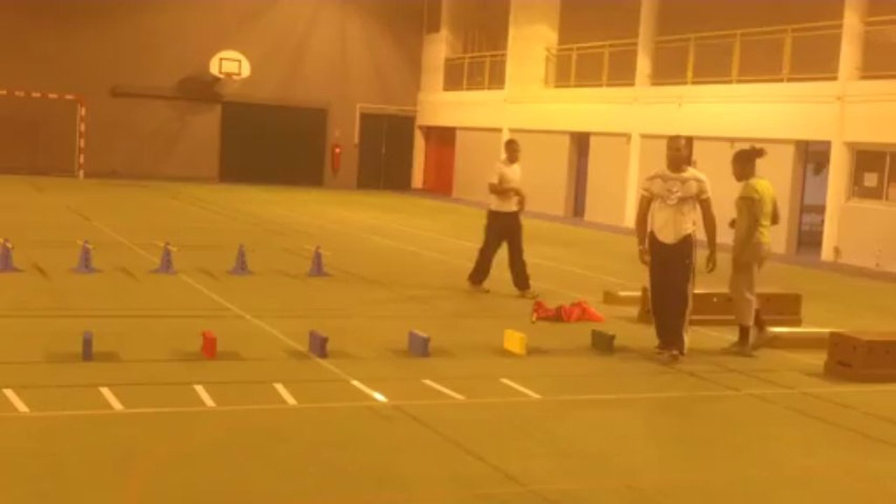 PPS EN SALLE DYNAMIQUE D APPUIS PLOTS  LATTES