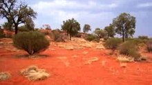 Red-center