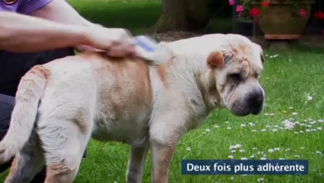 Révolutionnaire : Les brosses adhésives collantes en silicone !!!