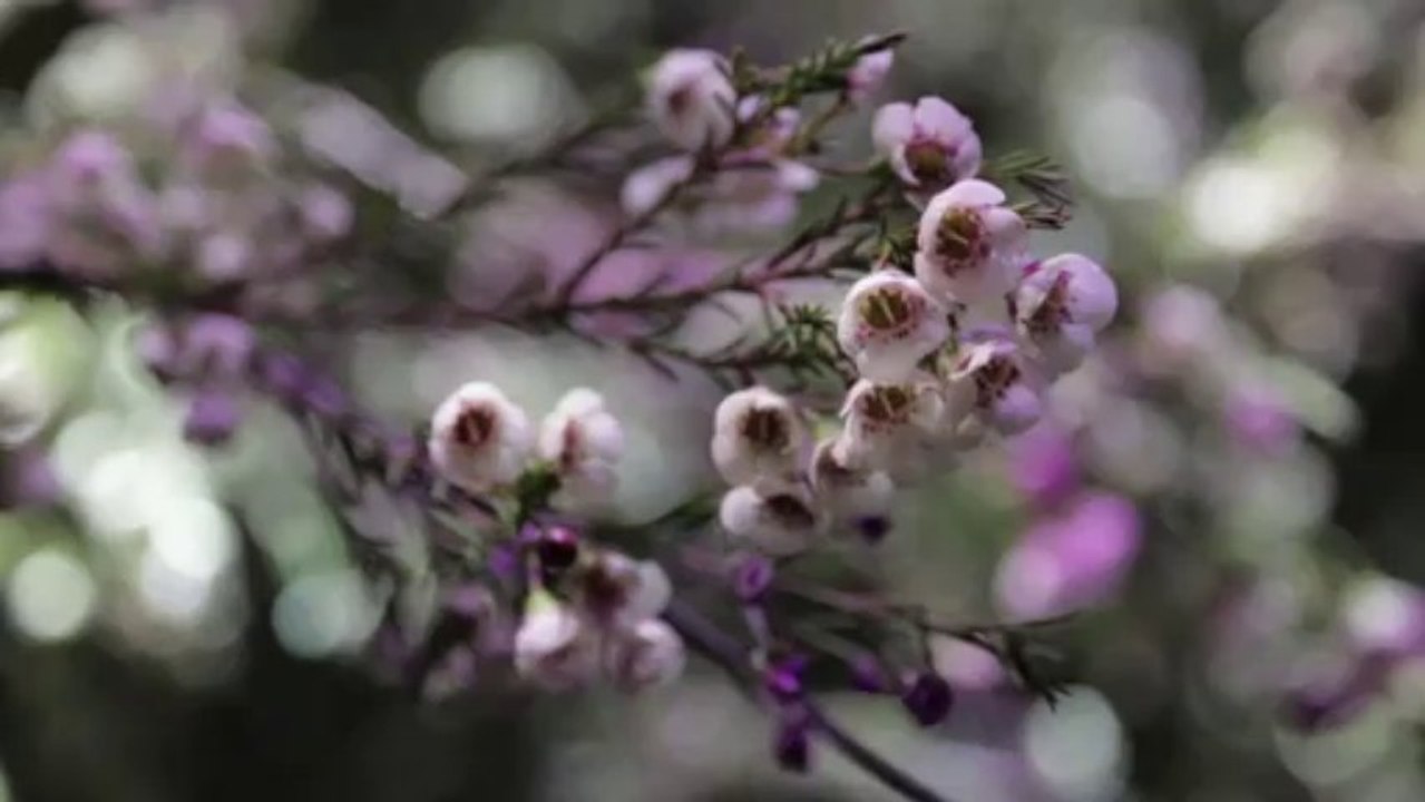 Le défilé Dolce & Gabbana Fashion Week Milan printemps-été 2014