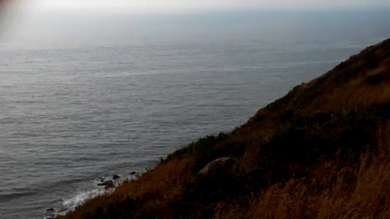 Dauphins cap de Flamanville