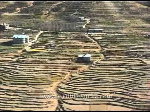 Terraced fields and farms around Prini and New Manali, seen aerially