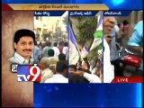 Jagan supporters celebrations in Hyderabad - Part2